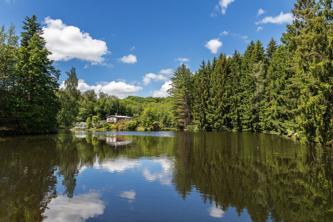 Etang Haute Saone France