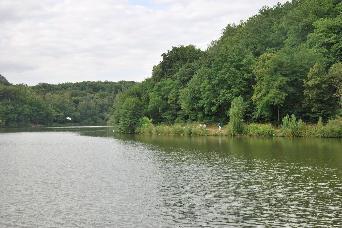 Etang Roi Yvelines