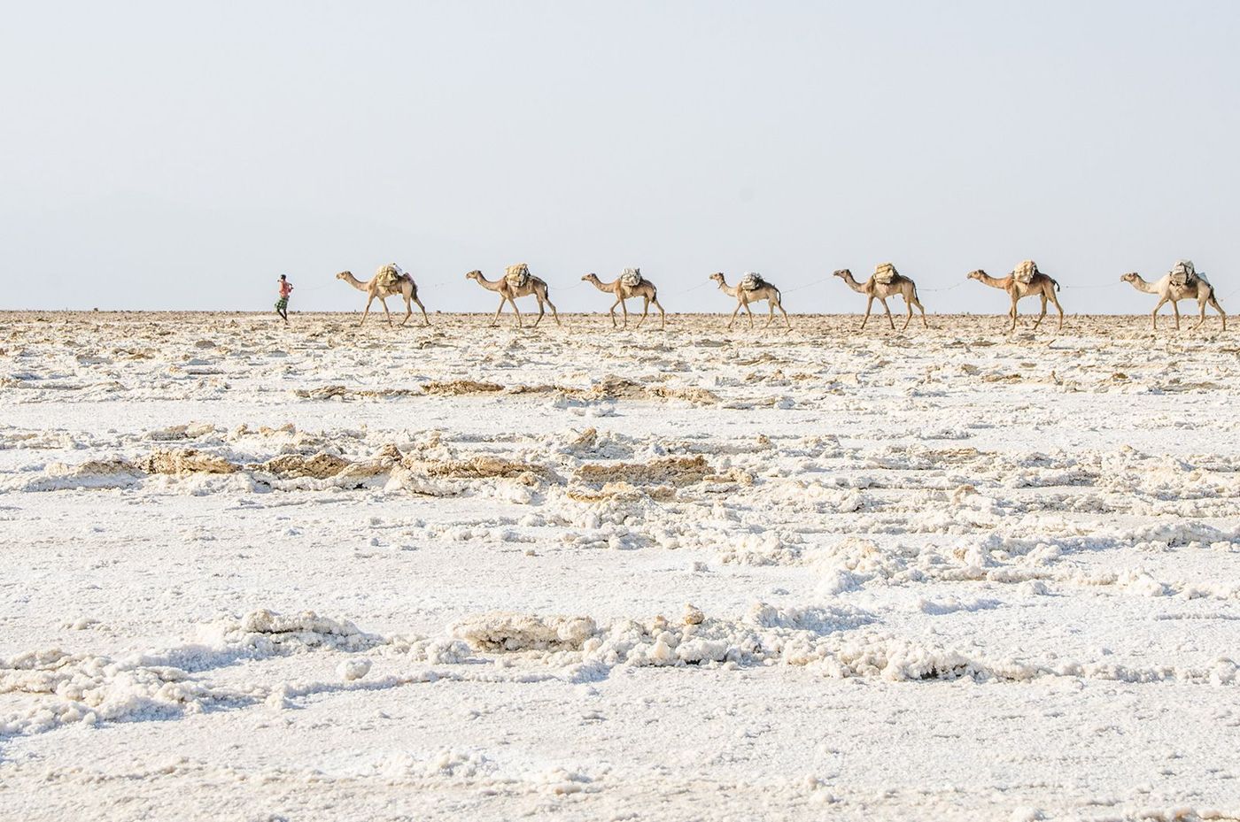 Ethiopie Dépression du Danakil