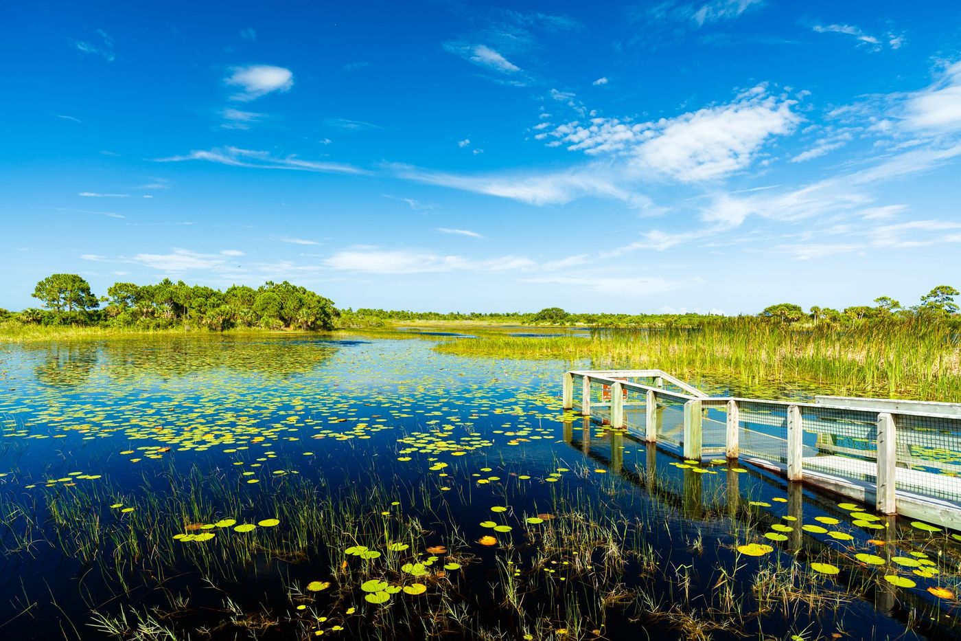 Everglades Parc Florida