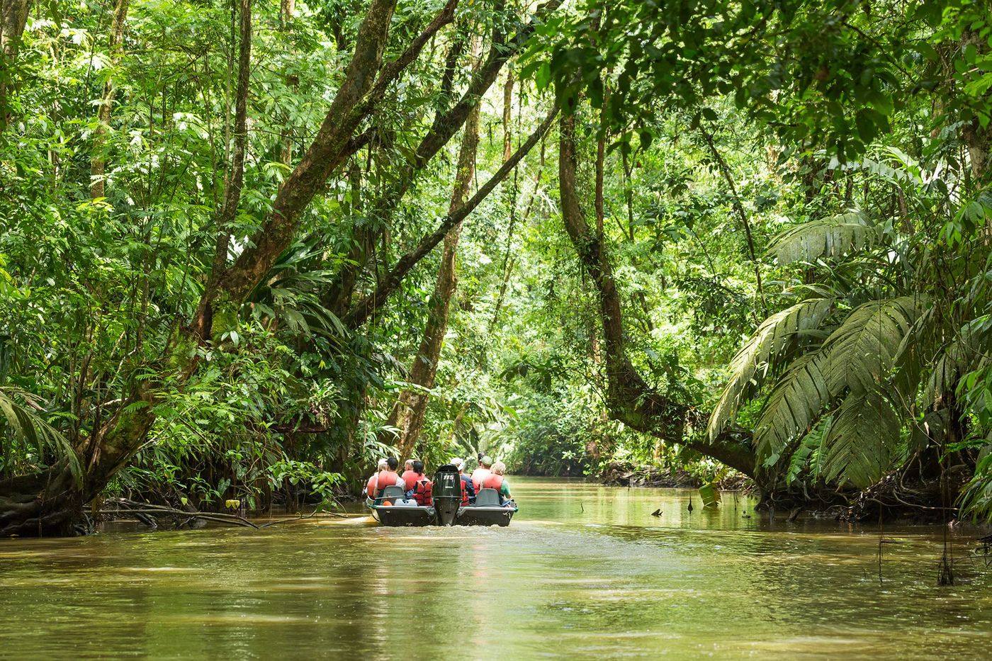 Excursion en bateau - Tortuguero