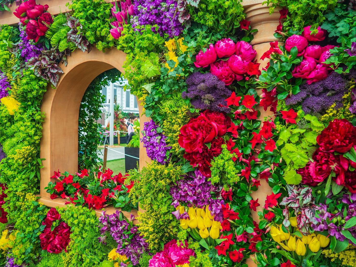 Exposition florale