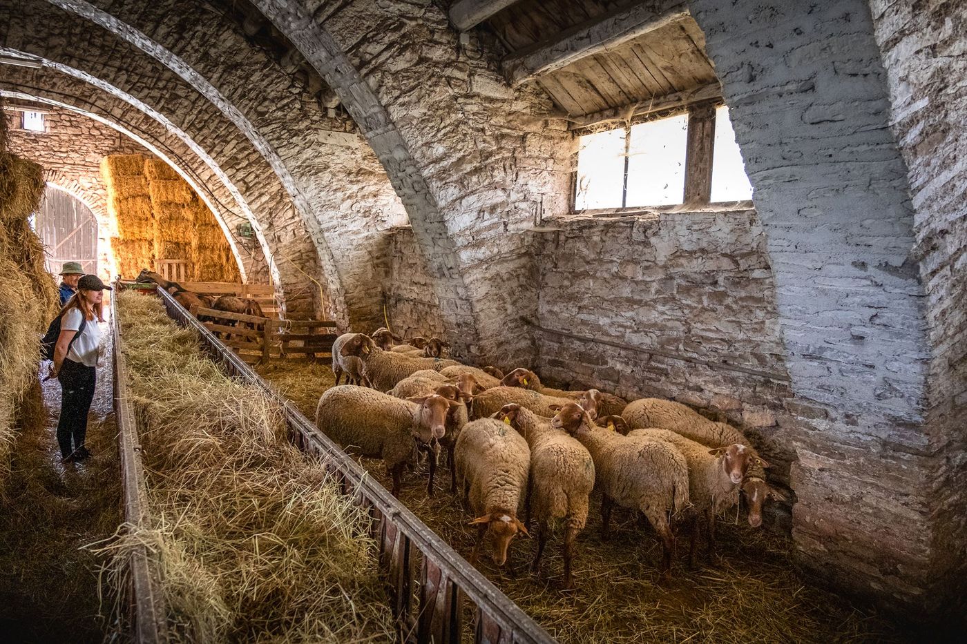 Ferme caussenarde