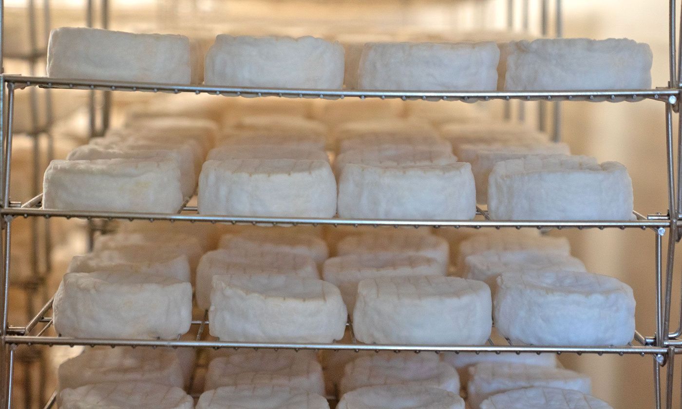 Ferme du Champ Secret - camembert de Normandie