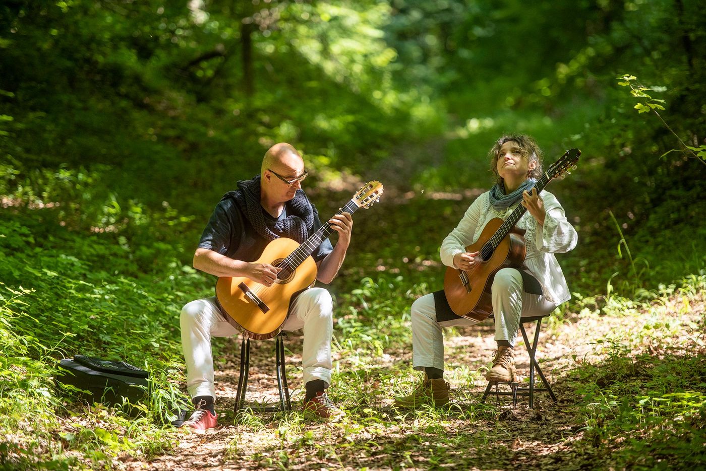 Festival des forêts  - musiciens
