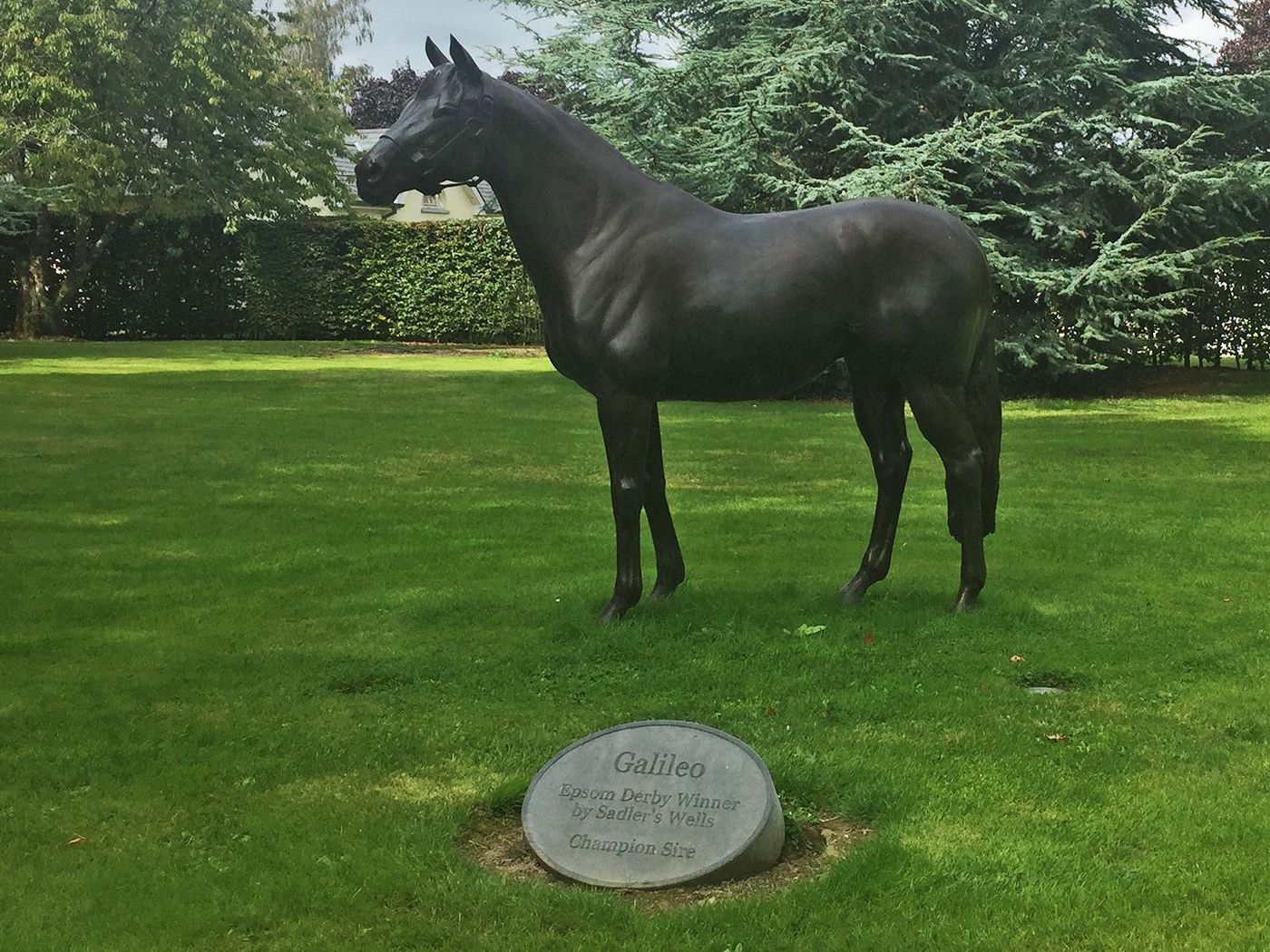 Irlande Fethard Horse Country Experience