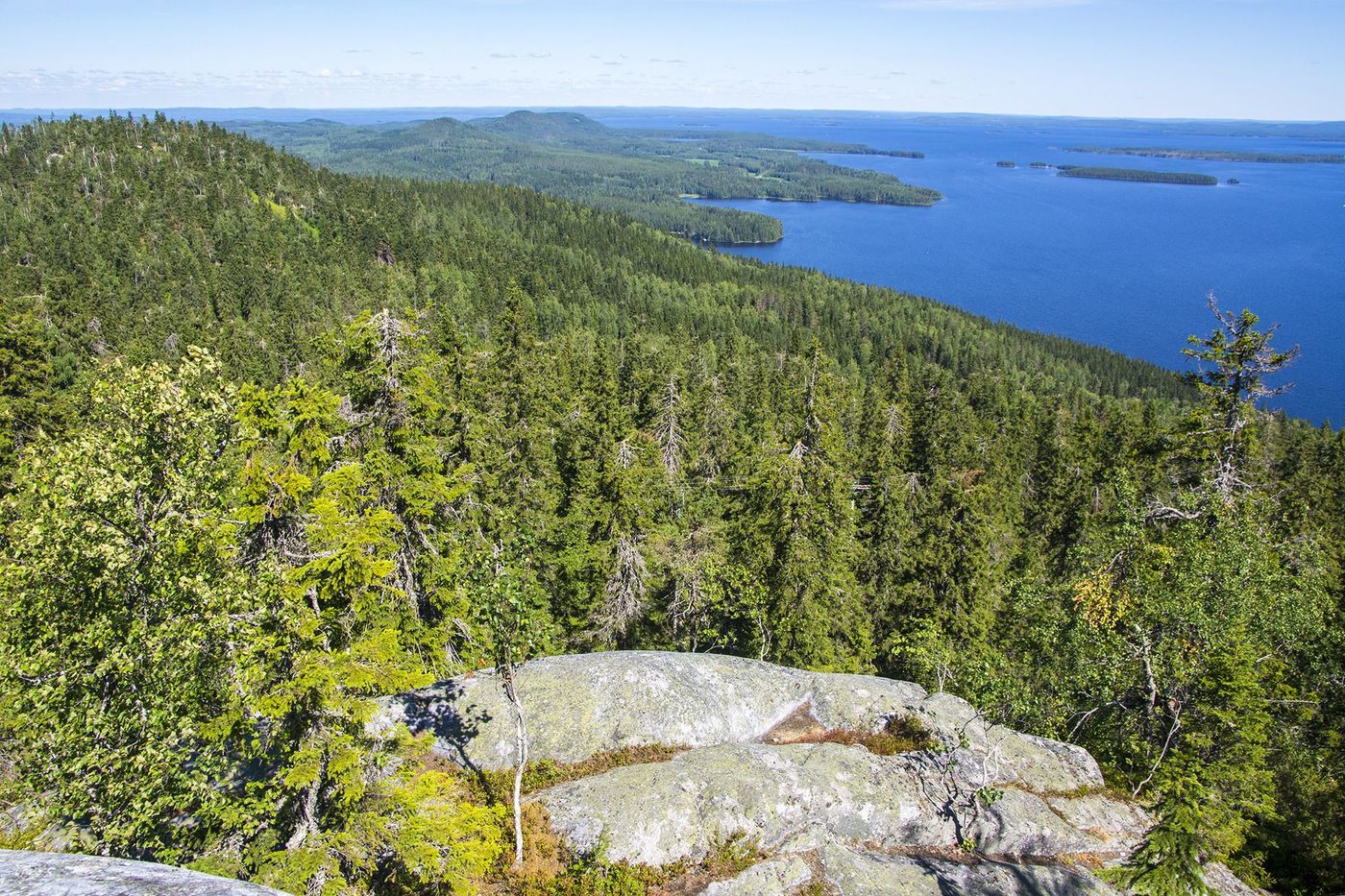 Finlande Vu du sommet Ukko-Koli