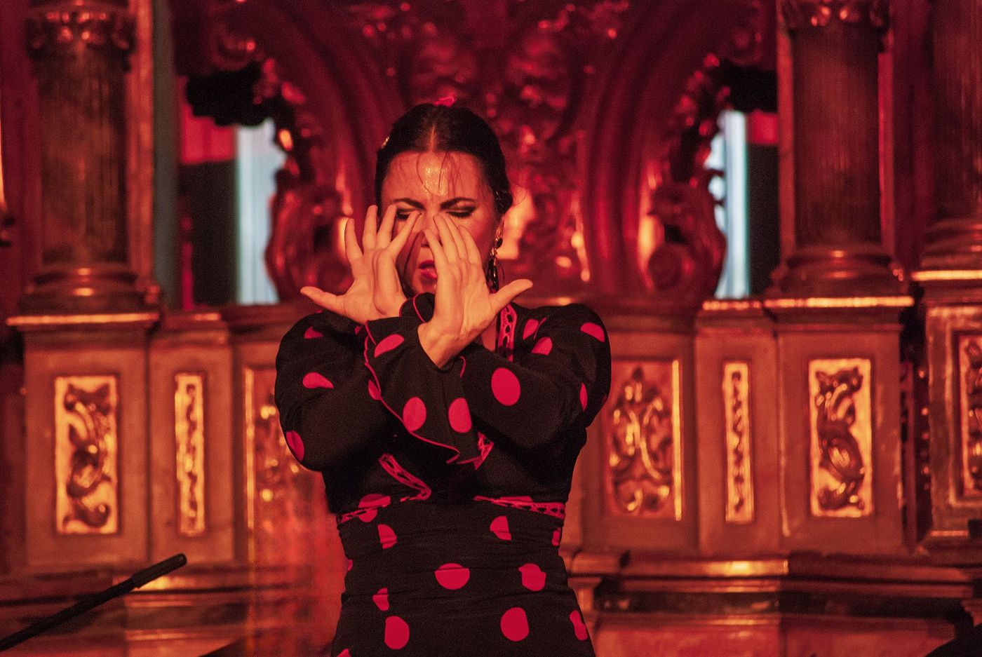 Flamenco dans une peña