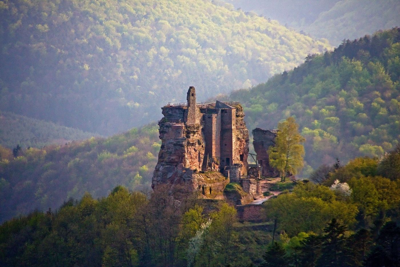 Fleckenstein