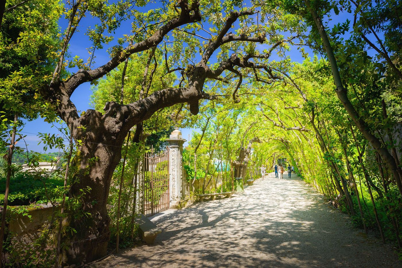 Florence Jardin de Boboli