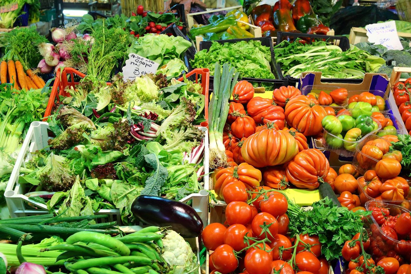 Florence Marché