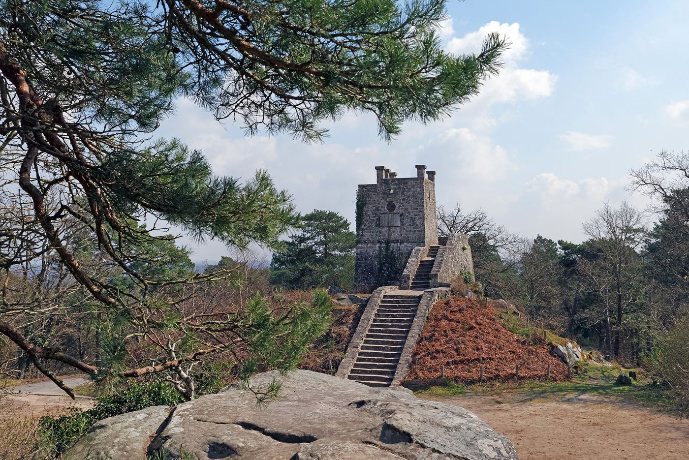 Fontainebleau Tour Denecourt