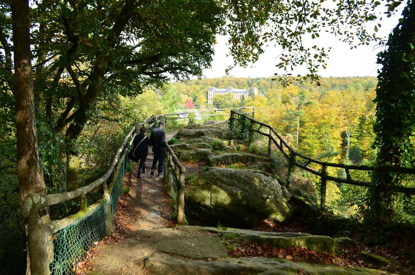 Forêt - Bagnoles-de-l’Orne