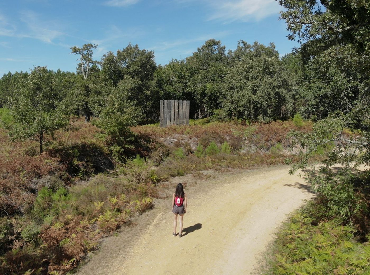 Forêt d’Art Contemporain