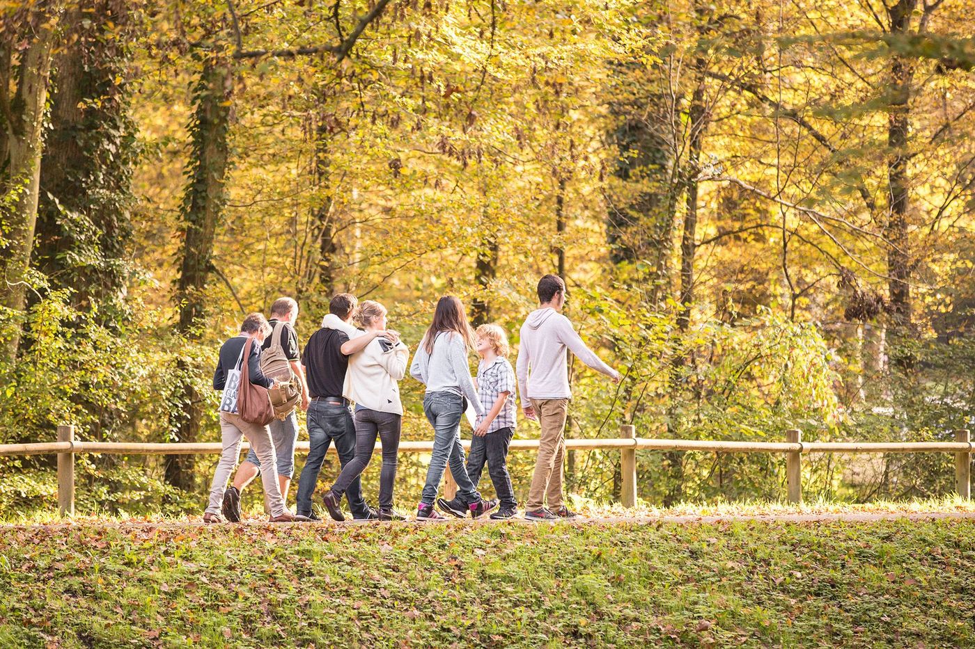 Forêt de Haguenau