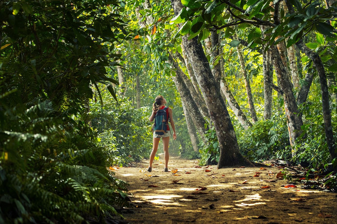 Forêt et randonneuse à Cahuita