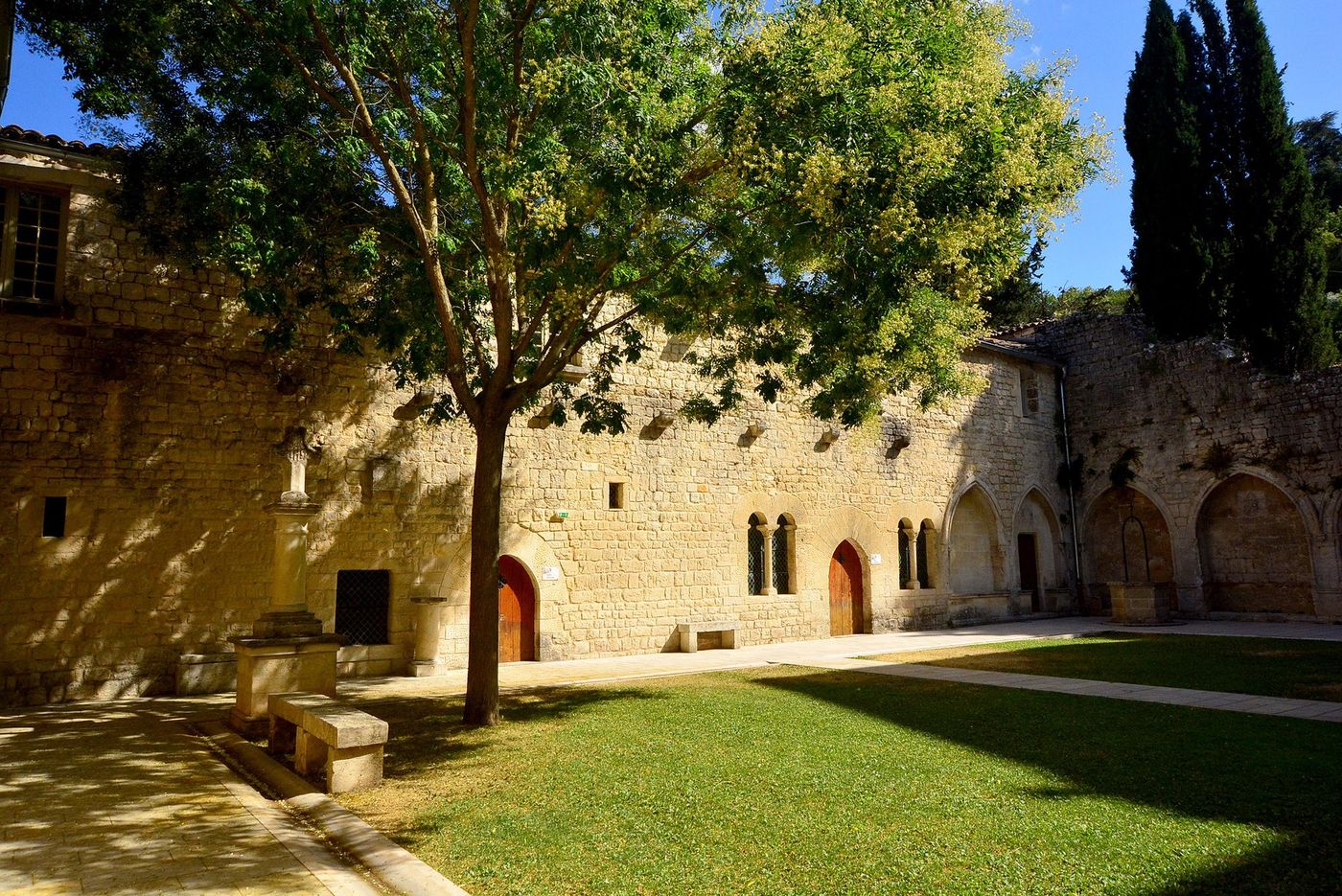 Forcalquier Couvent des Cordeliers Artemisia