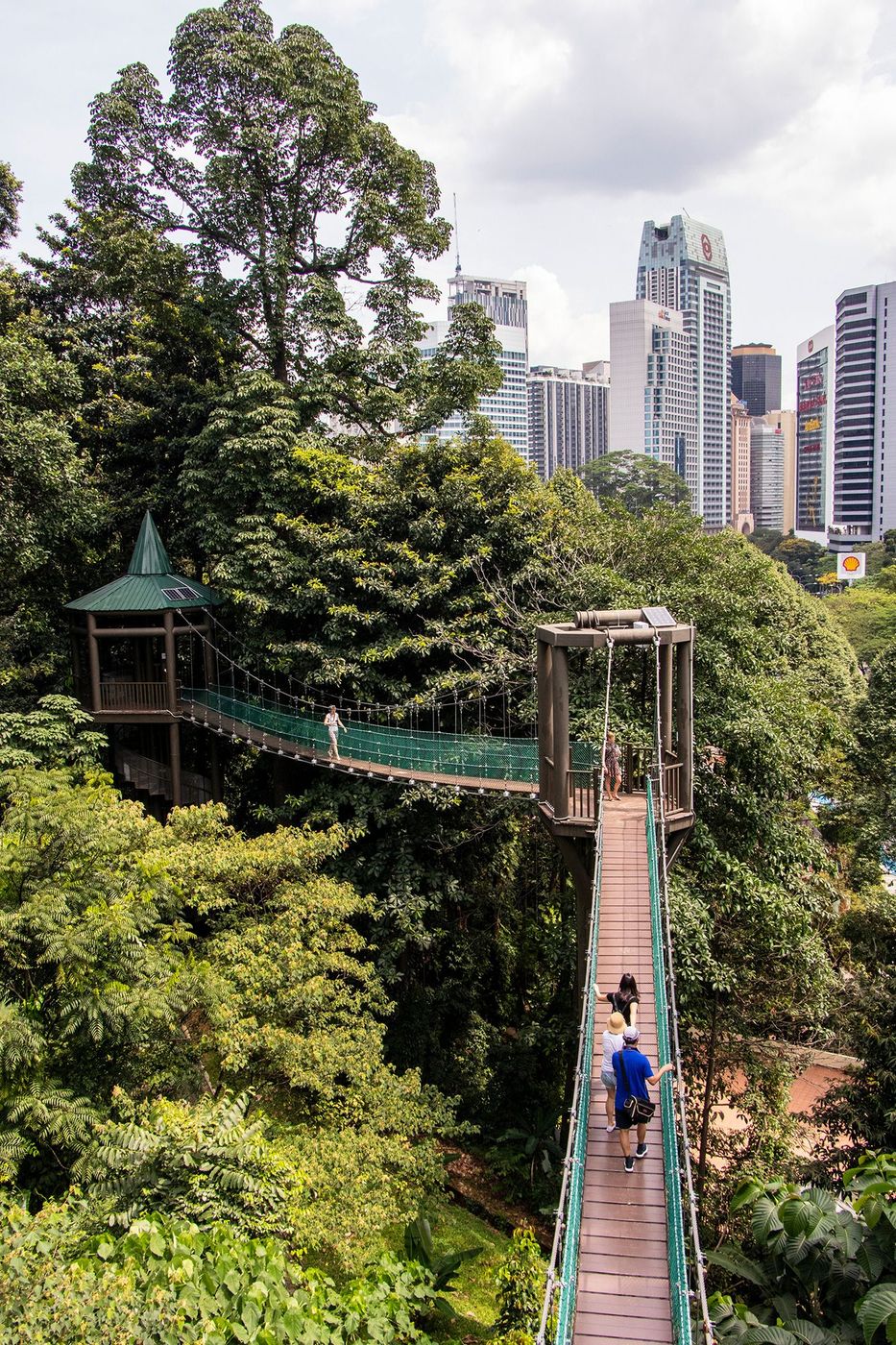 Kuala Lumpur Forest Eco Park