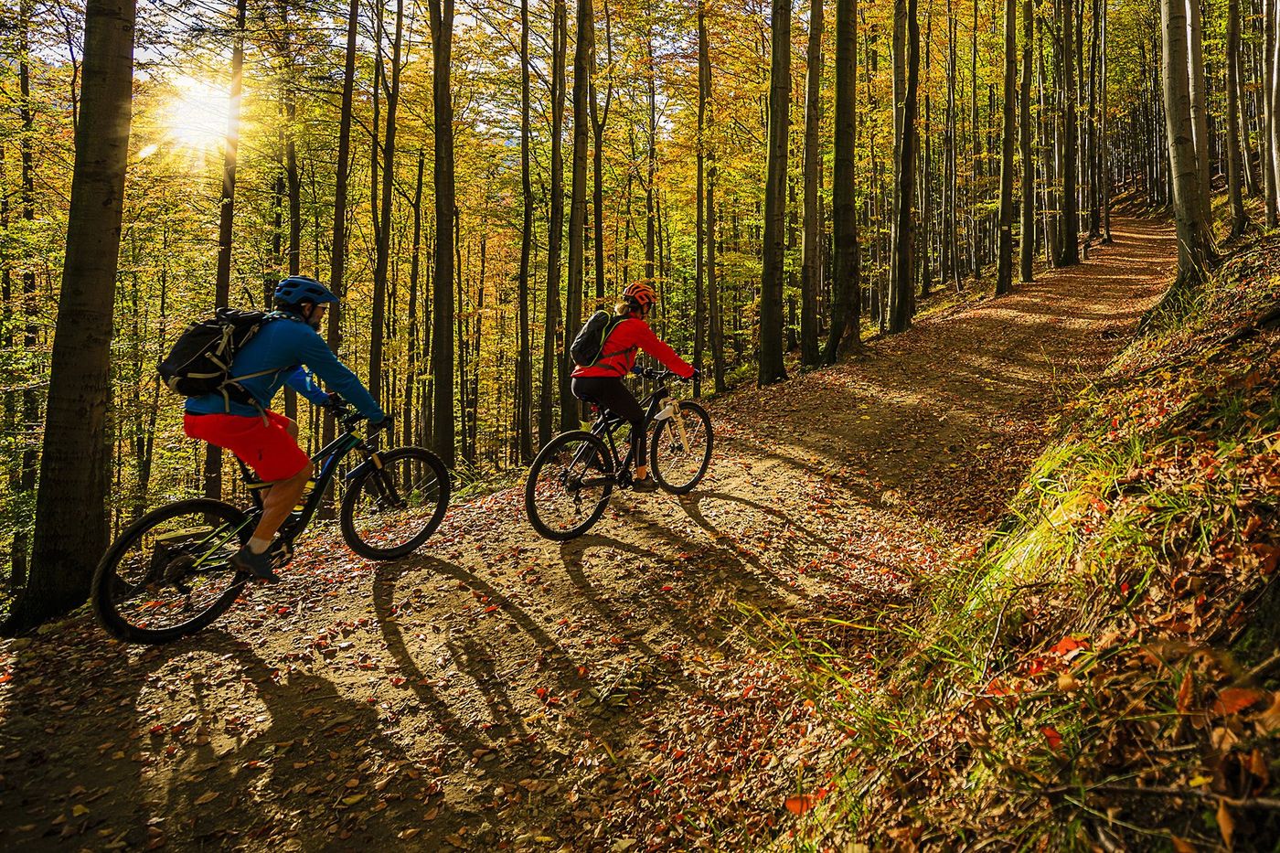 Forêt automne vélo