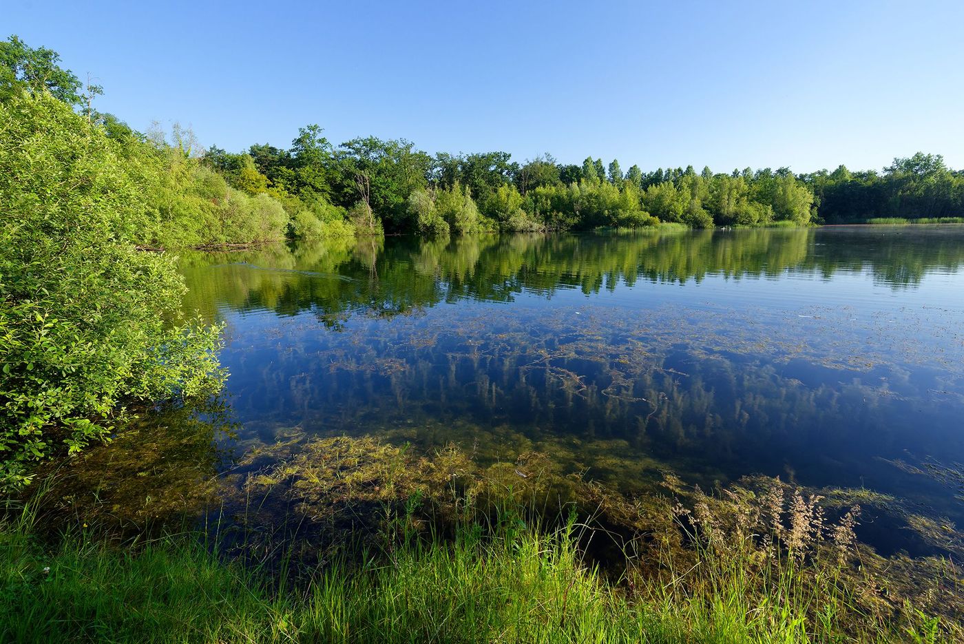 forêt de Compiègne