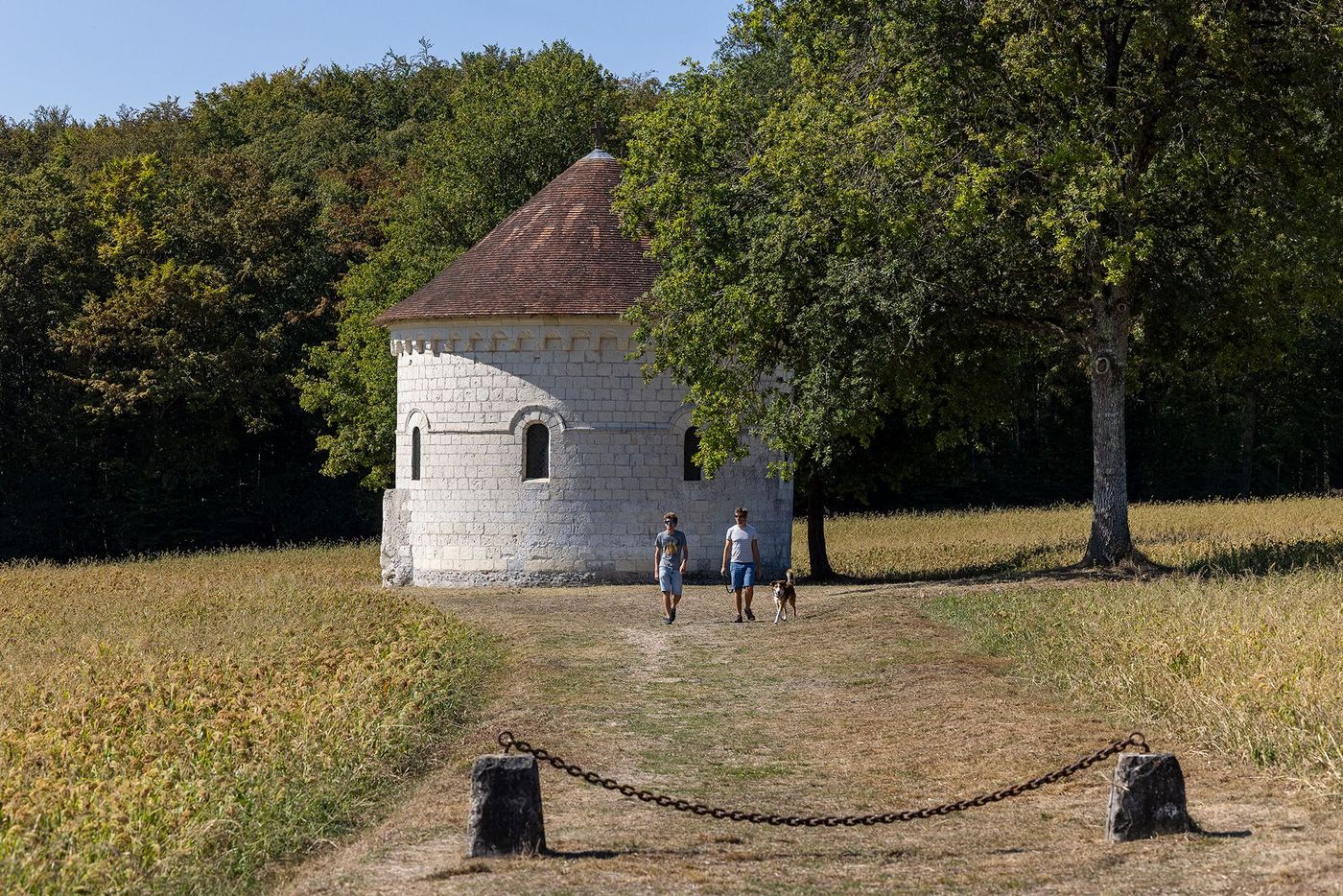 Forêt Domaniale de Loches © David Darrault
