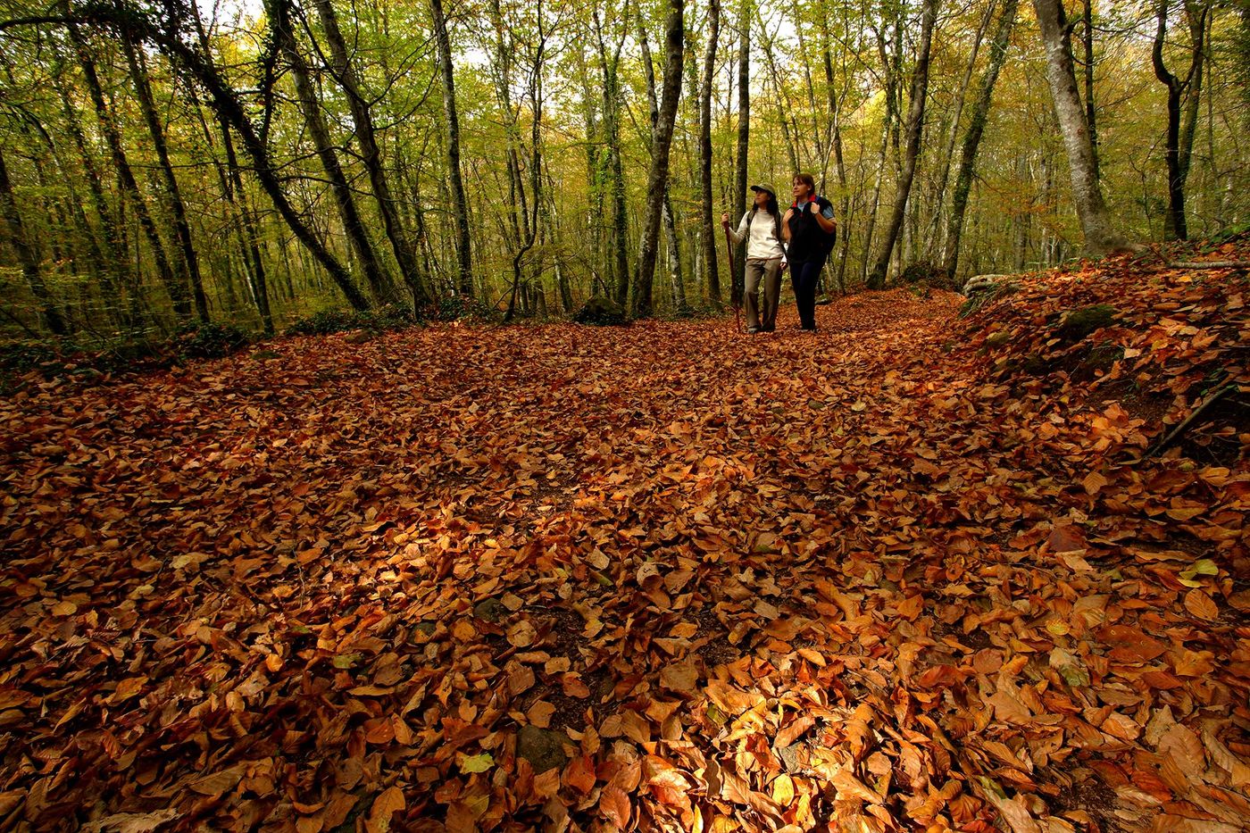 Garrotxa