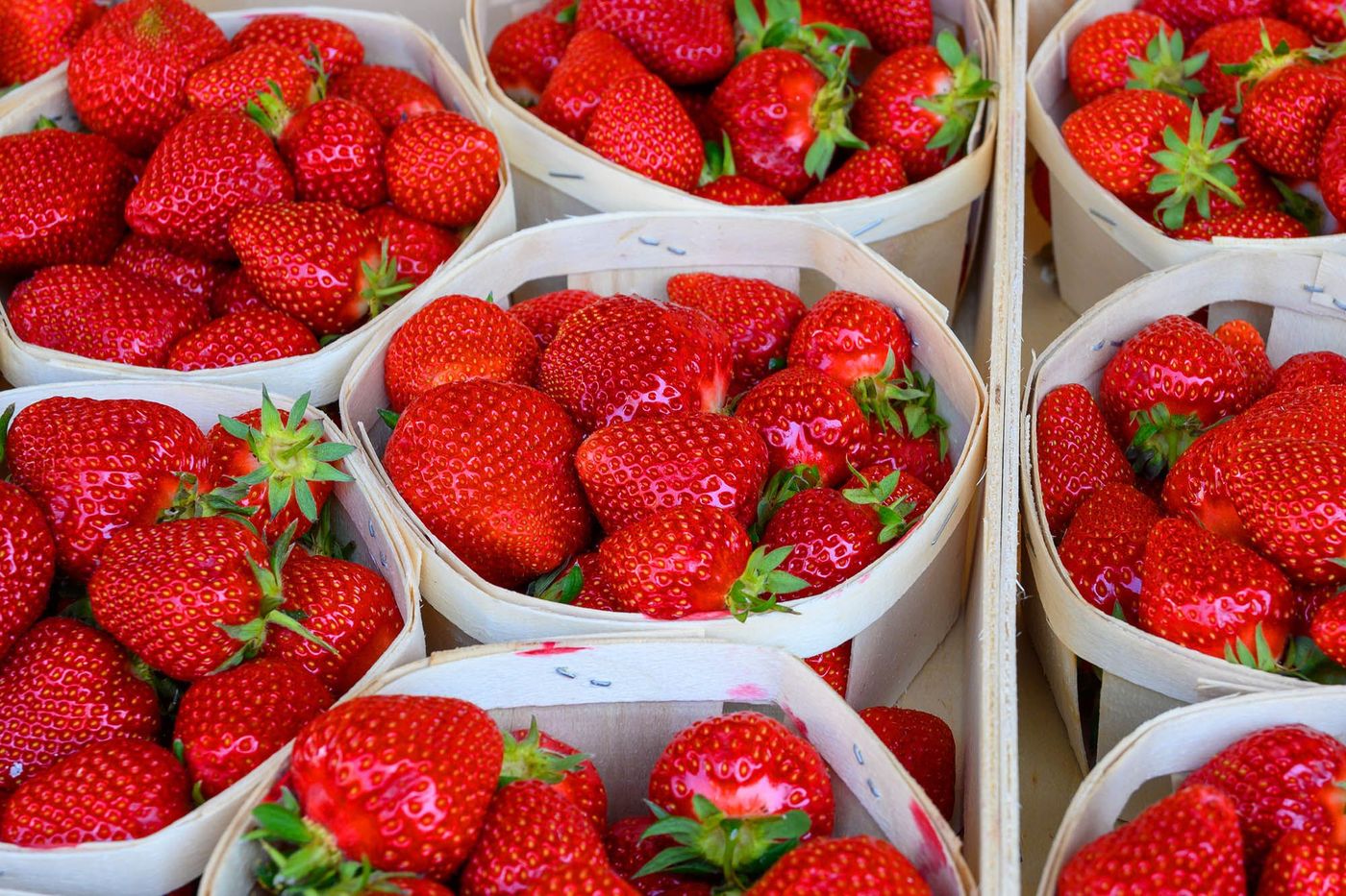 Fraises de Plougastel