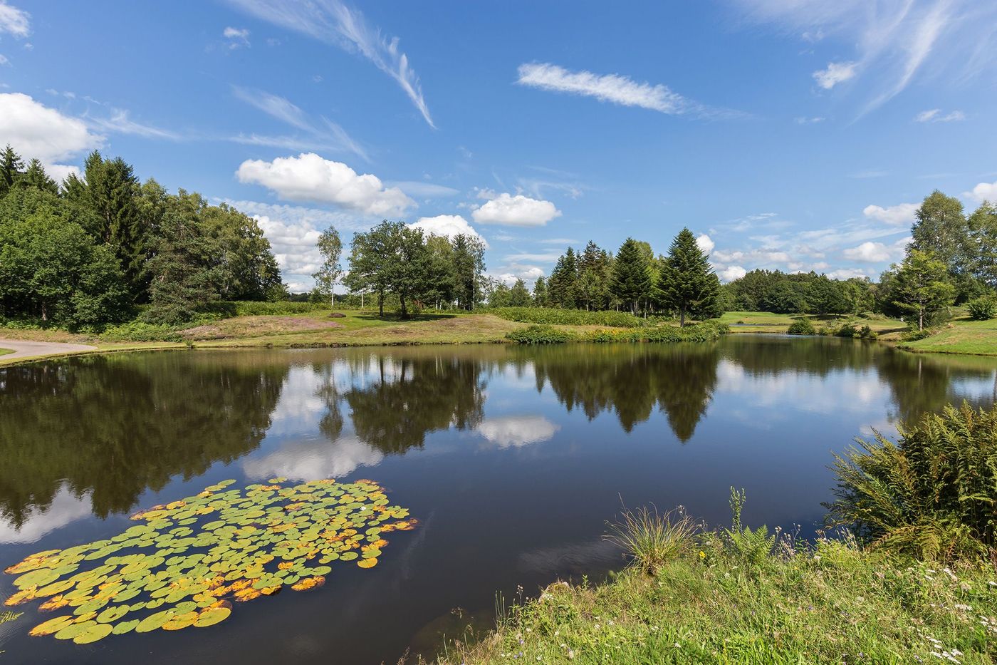 Franche-Comté Haute-Saône Etang