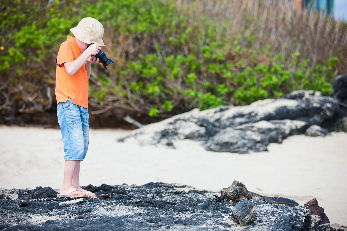 Galapagos Enfant Photographe Iguane
