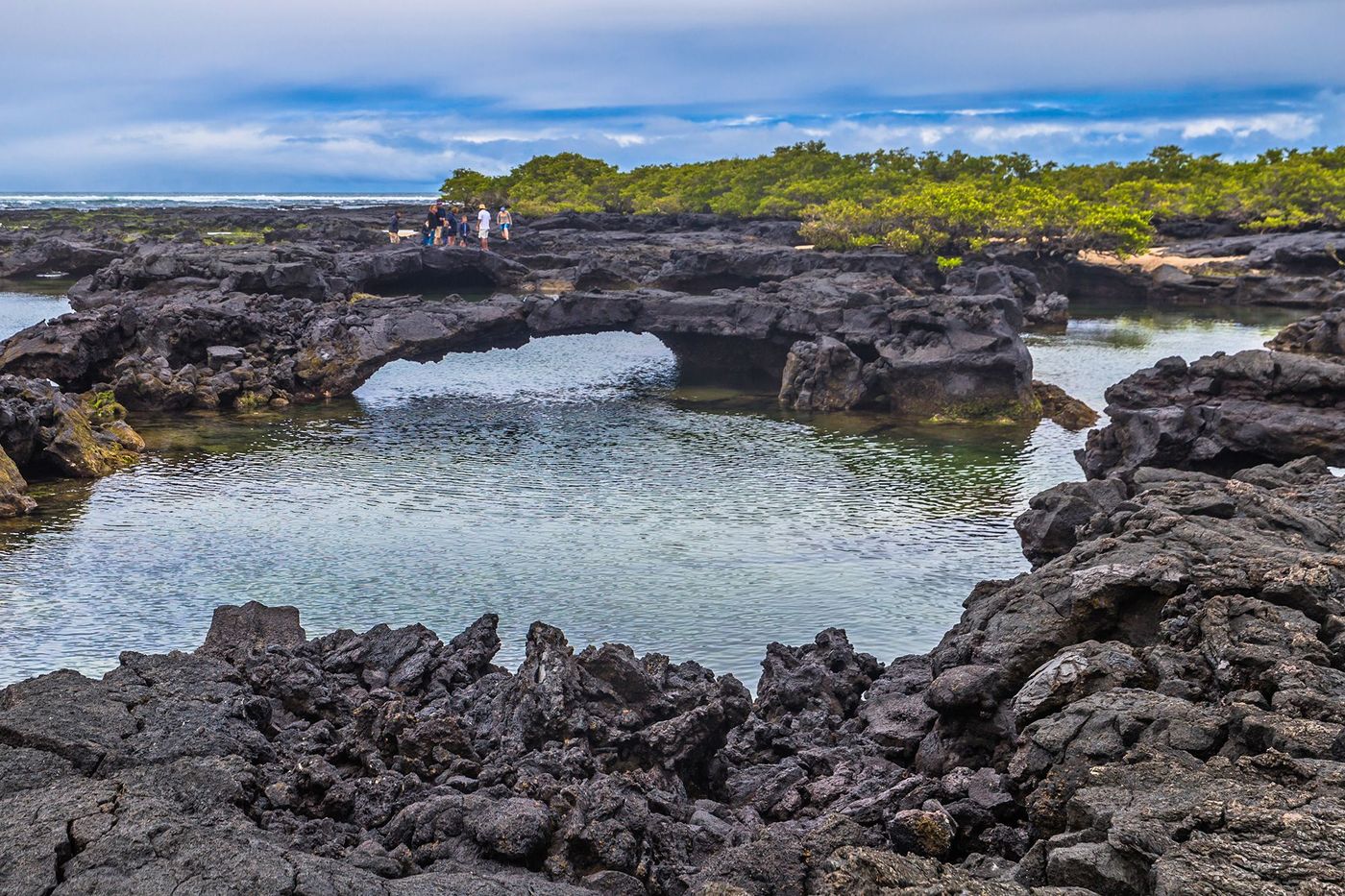 Galapagos Isabela Los Tuneles