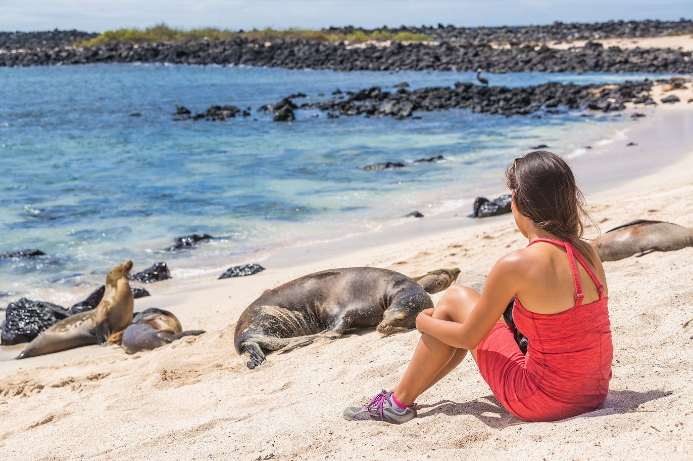 Galapagos San Cristobal Playa Mann
