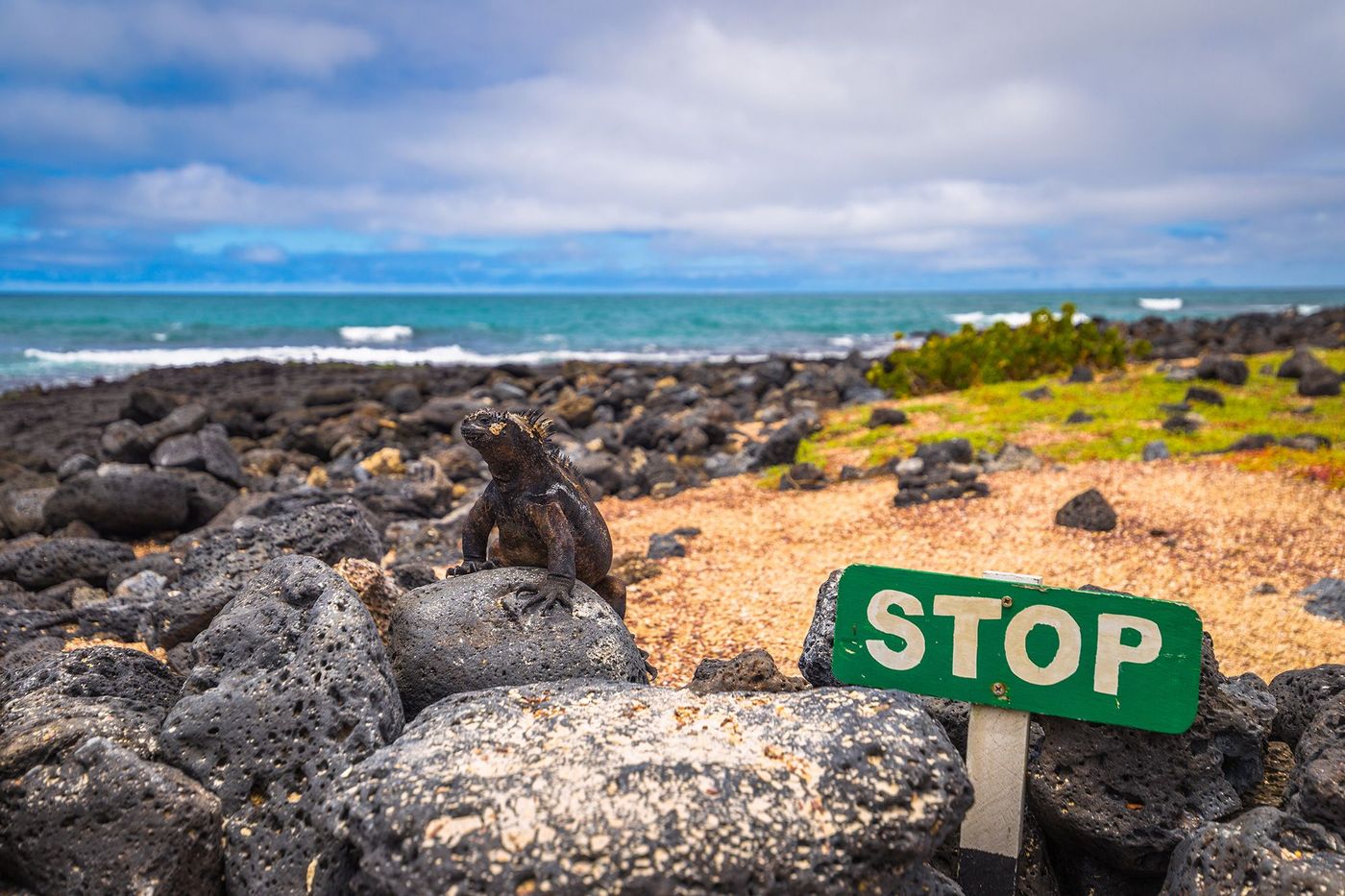 Galapagos Tortuga Bay