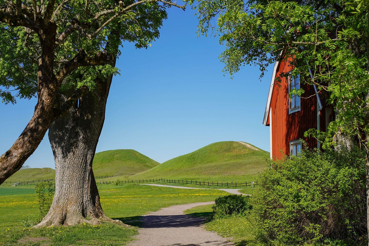 Gamla Uppsala - monticules des rois