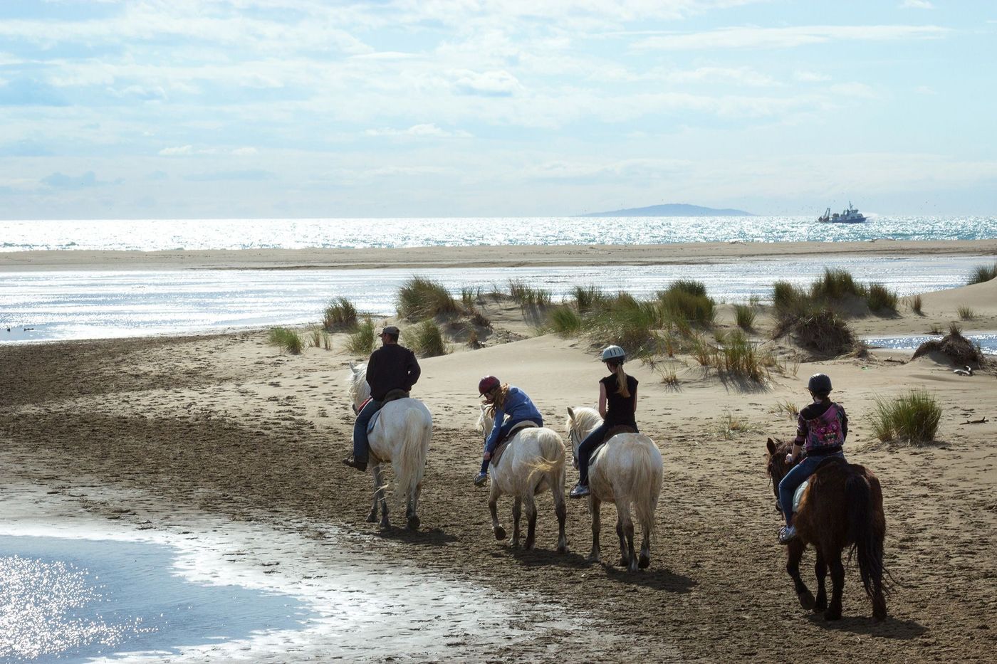 Gard Plage de l'Espiguette