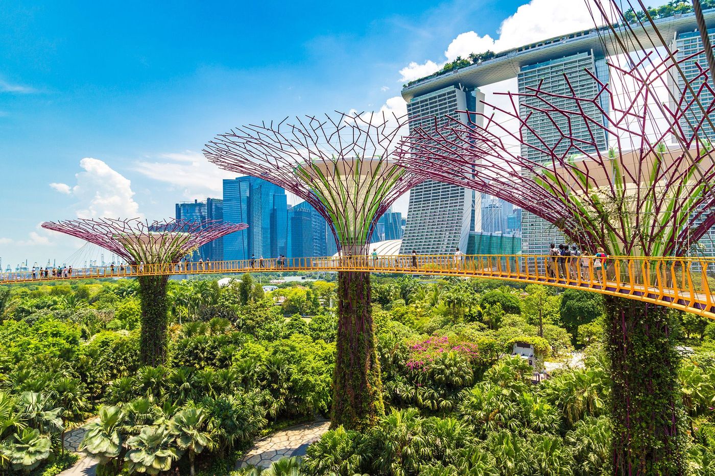 Gardens by the Bay