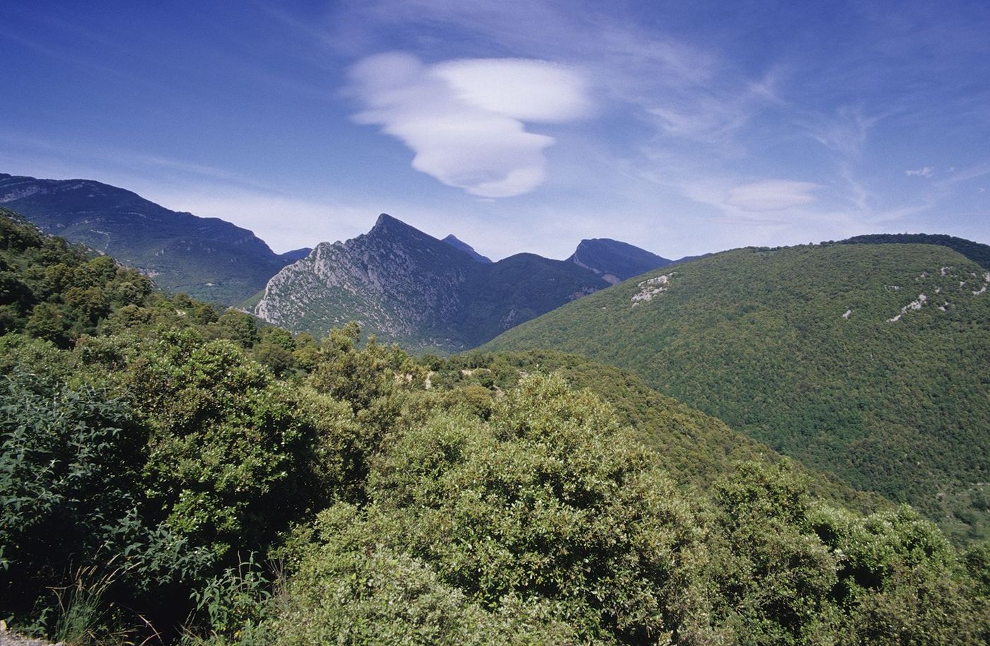 Garrotxa