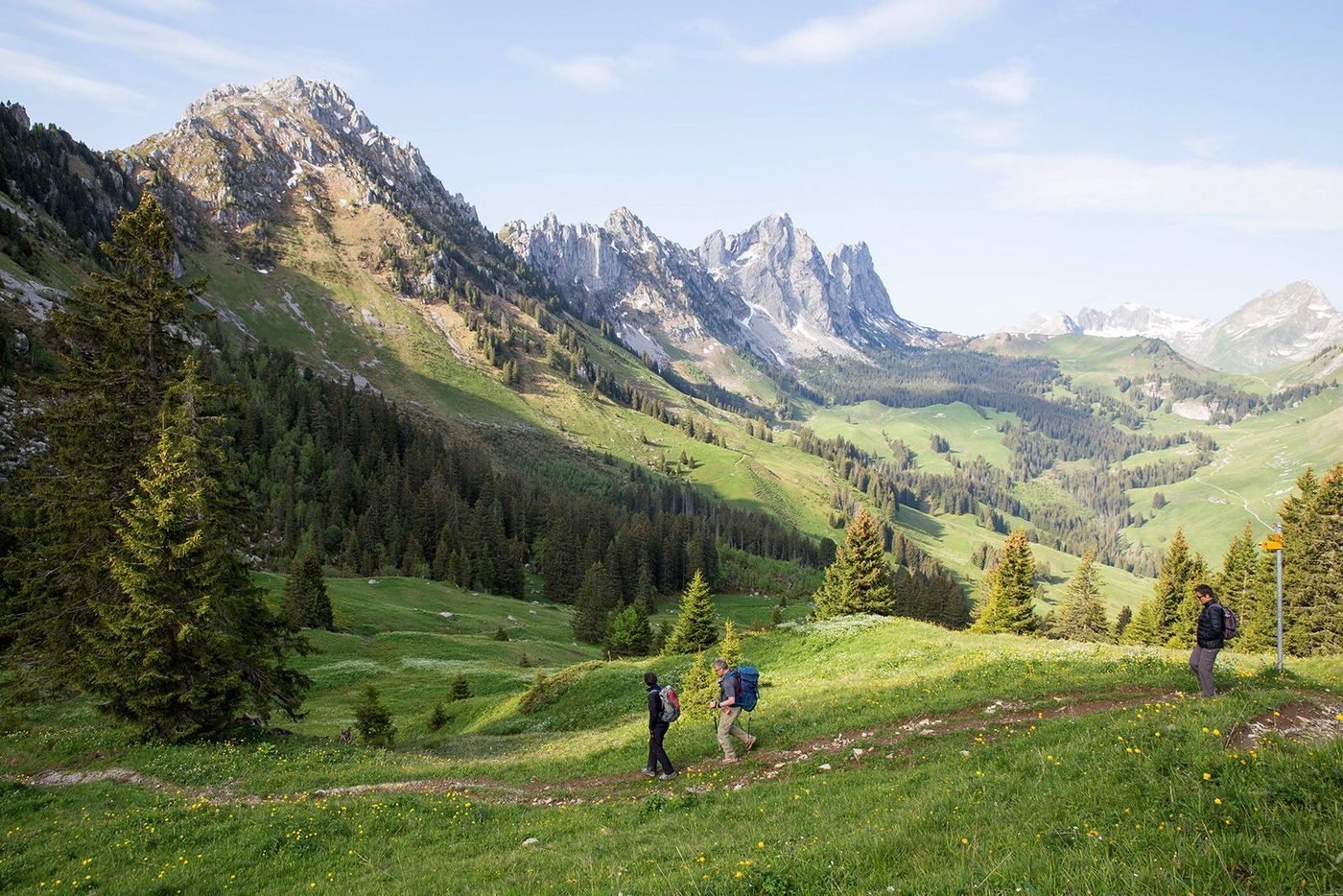 Suisse Gastlosen Randonnée