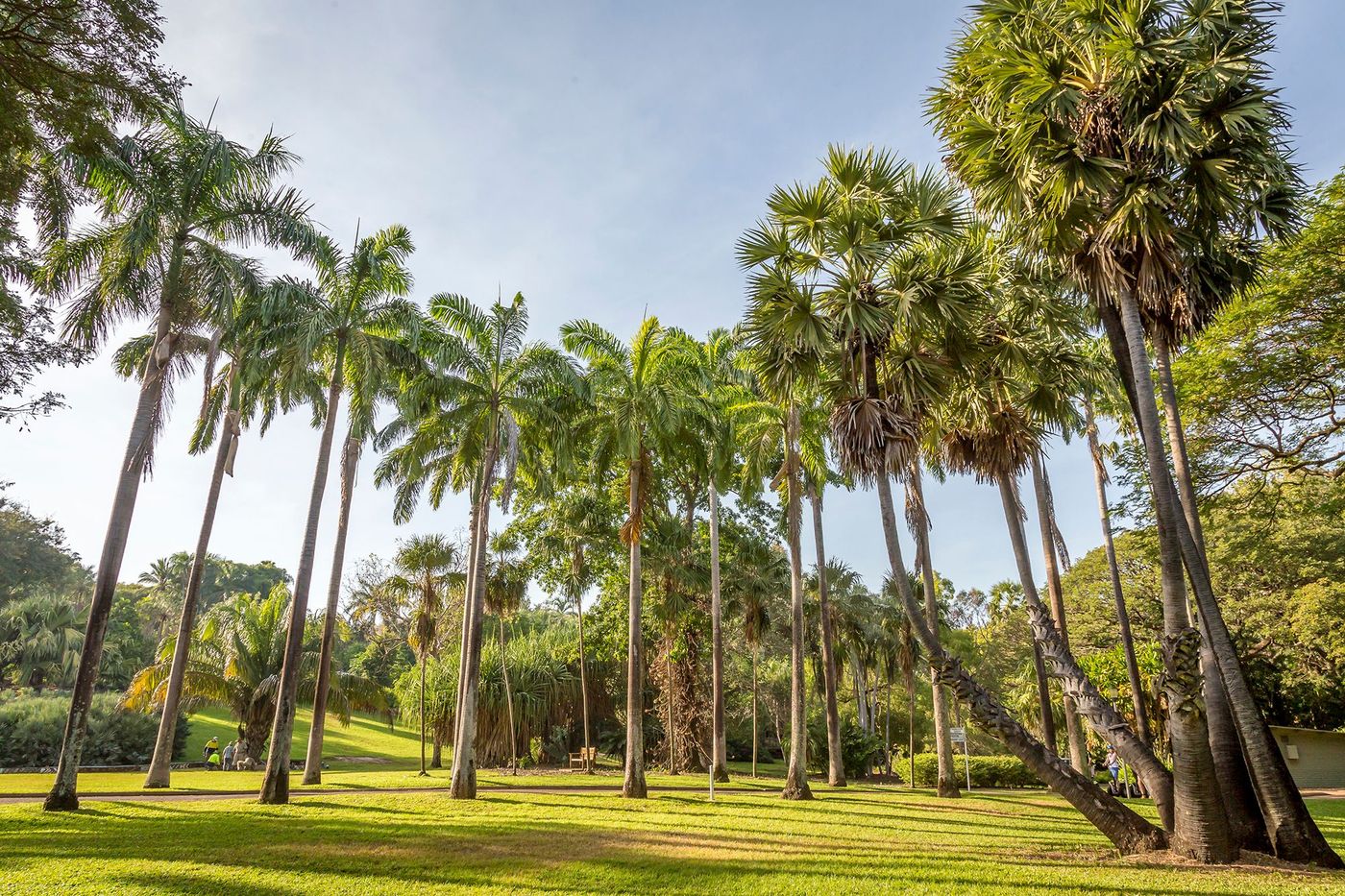 George Brown Darwin Botanic Gardens