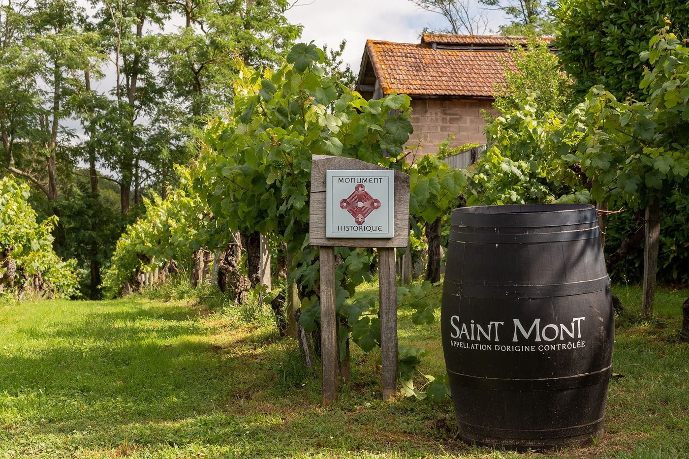 Gers Vigne du lopin de Sarragachies
