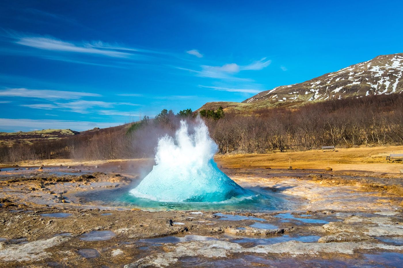 Geysir Volcan Islande