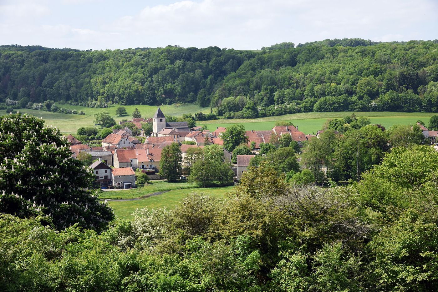 Giey-sur-Aujon - Parc national de forêts