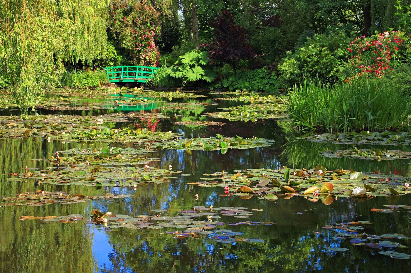 Giverny Money Jardins