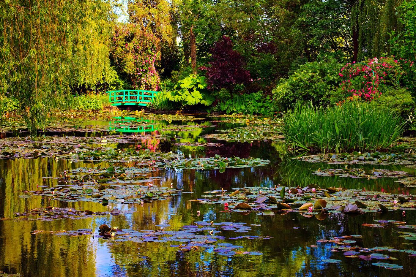 Giverny jardin d'eau