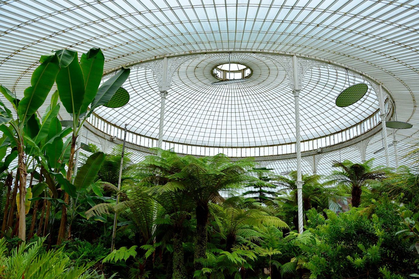 Glasgow Jardin Botanique