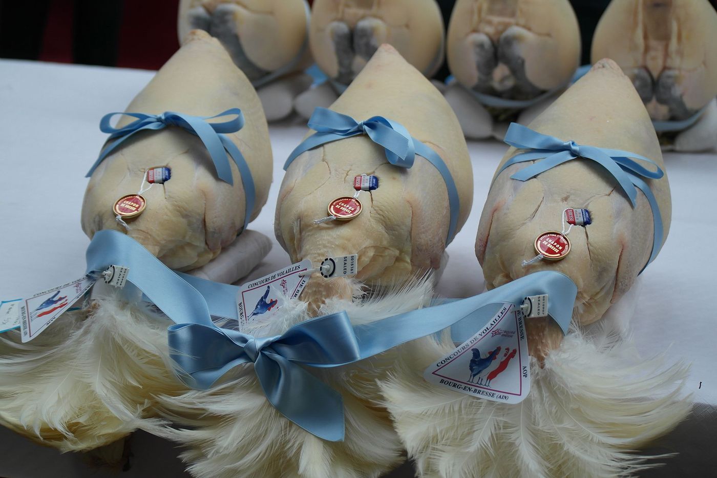 Glorieuses de Bresse