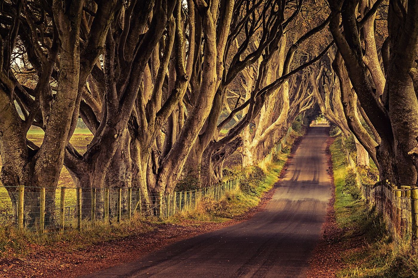 Game of Thrones