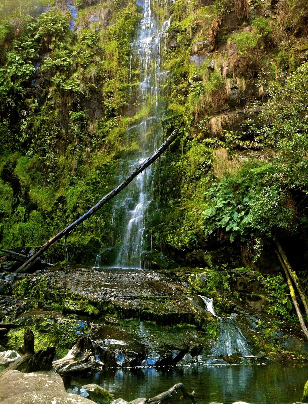 Australie Great Otway National Park