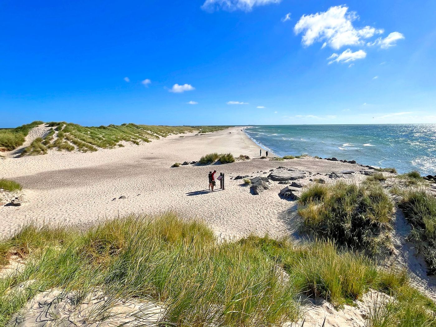 Grenen
