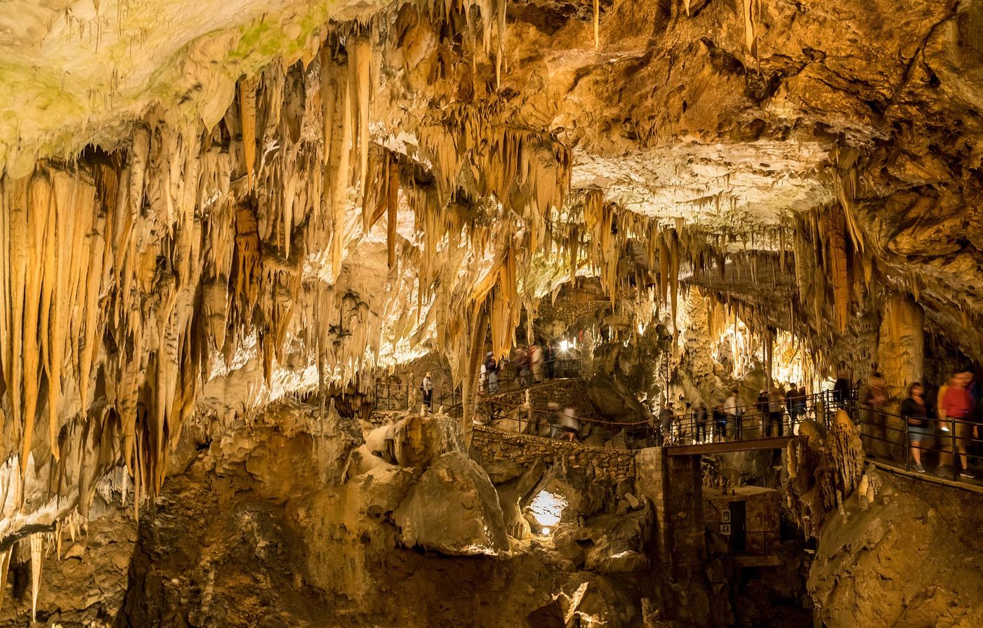 Grotte de Postojna