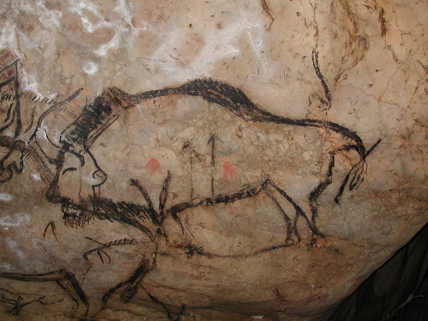 Ariège Grotte de Niaux